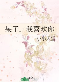 呆子，我喜欢你
