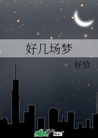 《好几场梦》