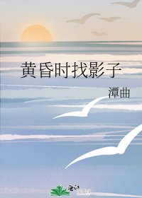 《黄昏时找影子》