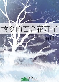 《故乡的百合花开了》