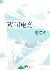 《Wild电竞》