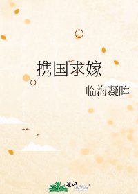《携国求嫁》