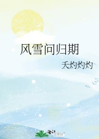 《风雪问归期》