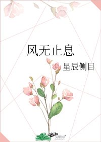 《风无止息》