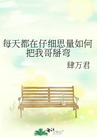 《每天都在仔细思量如何把我哥掰弯》