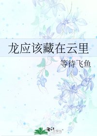 龙应该藏在云里