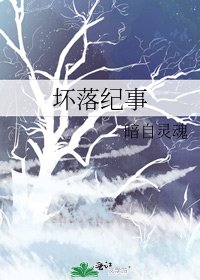 《坏落纪事》