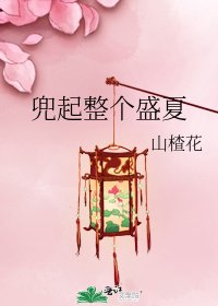 《兜起整个盛夏》