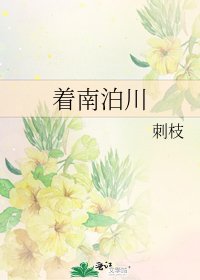 《着南泊川》