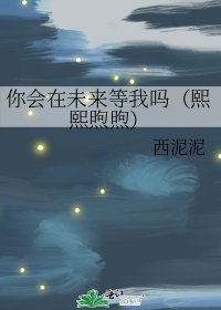 《你会在未来等我吗(熙熙煦煦)》