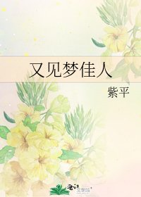 《又见梦佳人》