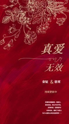 真爱无效