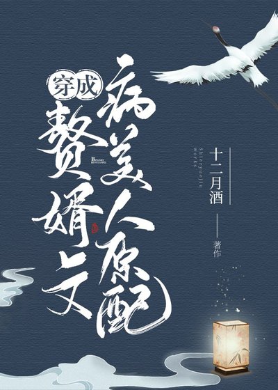 《穿成赘婿文恶毒原配》