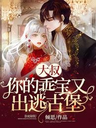 《大叔,你的乖宝又出逃古堡》