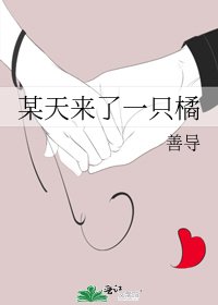 《某天来了一只橘》