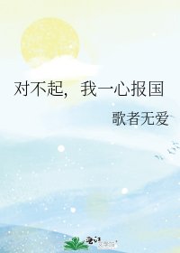 《对不起,我一心报国》