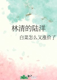 《林清的陆洋》