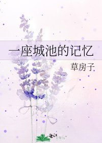《一座城池的记忆》