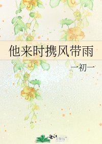 《他来时携风带雨》