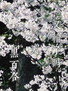 《黑百合今天又输了吗》