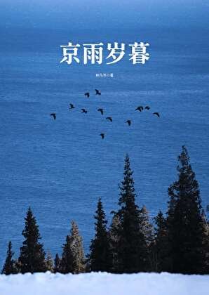 《京雨岁暮》