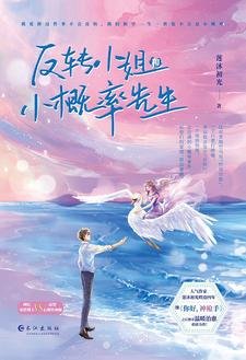 《反转小 姐与小概率先生》