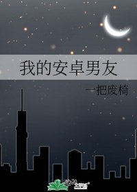 《我的安卓男友》