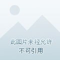 取向狙击100%