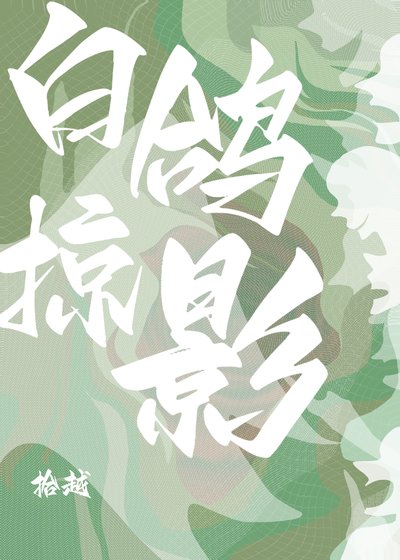 白鸽掠影