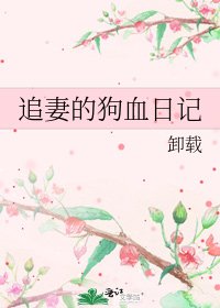 追妻的狗血日记