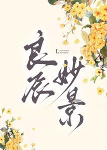 《良辰妙景》