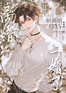 《离婚直男和离婚gay二婚了》