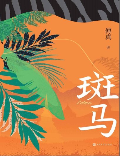 《斑马(出版书)》