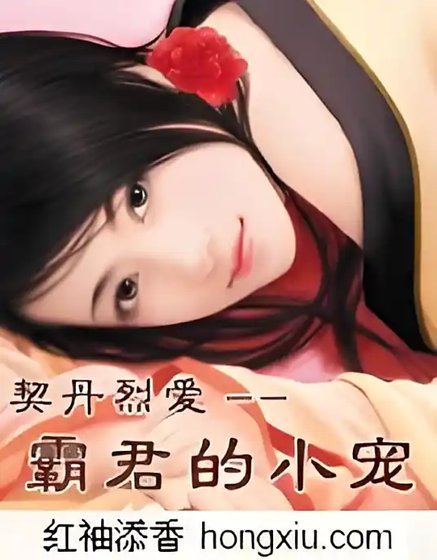 契丹烈爱：霸君的小宠【全本】