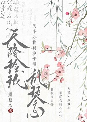 天降外挂饲养手册