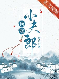 《换嫁小夫郎》