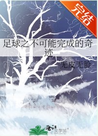 （足球同人）足球之不可能完成的奇迹