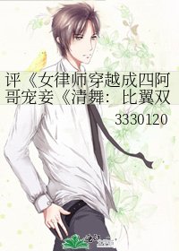 《女律师穿越成四阿哥宠妾(清舞:比翼双飞)》