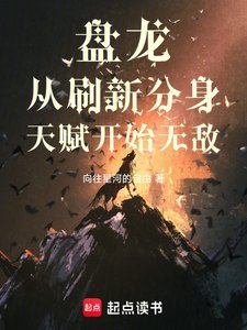 《(盘龙同人)盘龙从刷新分身天赋开始无敌》