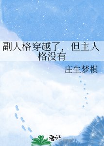 《副人格穿越了,但主人格没有》