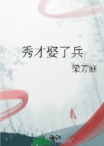 《秀才娶了兵》
