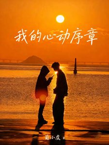 《我的心动序章》