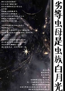 劣等虫母是虫族白月光