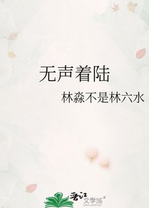 《无声着陆》