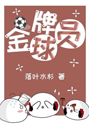 （足球同人）[足球]金牌球员
