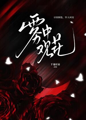 雾中观花