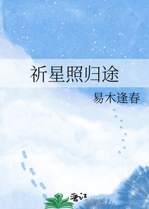 《祈星照归途》