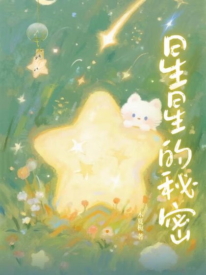 《星星的秘密》