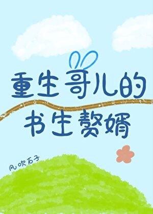 重生哥儿的书生赘婿