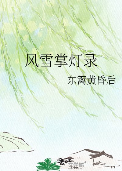 《风雪掌灯录》